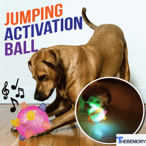 Pet Ball Endless Entertainment For Your Furry Friend